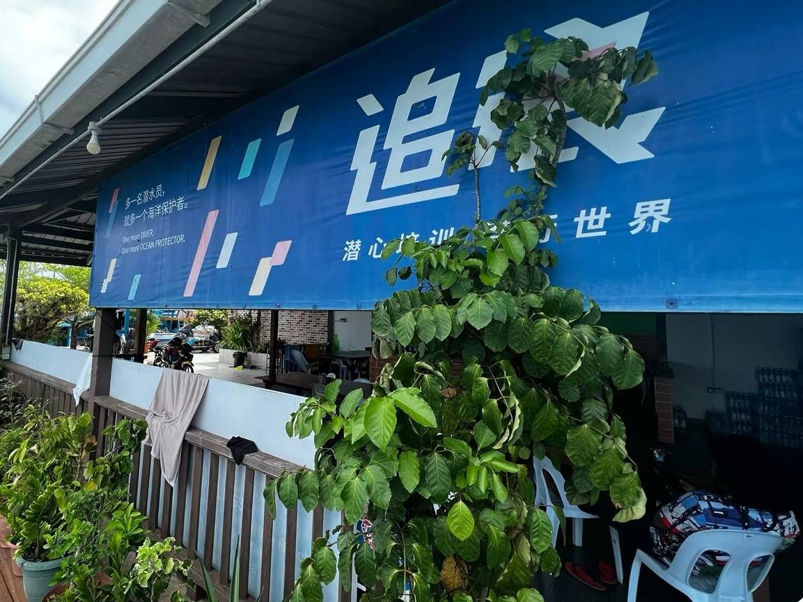 马来西亚仙本那追浪ZL Dive Semporna潜水中心自由潜考证套餐
